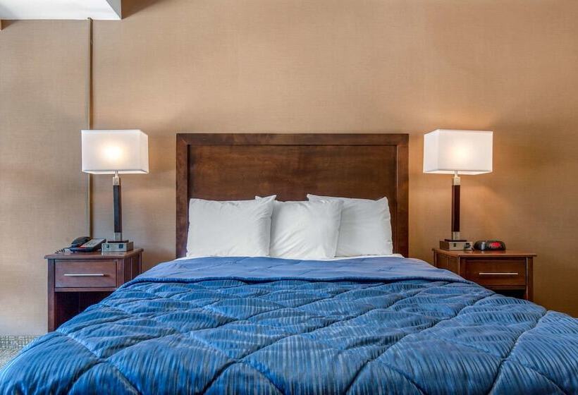 מוטל Rodeway Inn