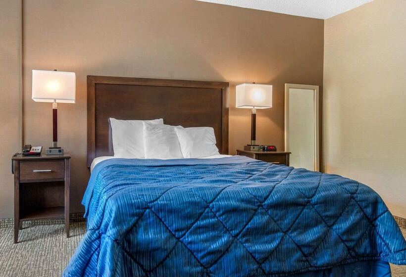 מוטל Rodeway Inn