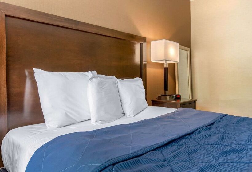 מוטל Rodeway Inn