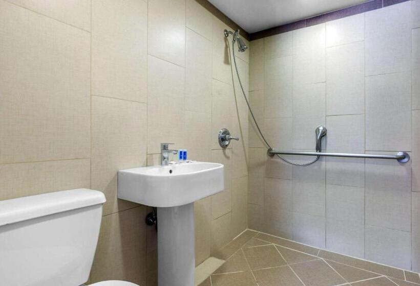 מוטל Rodeway Inn