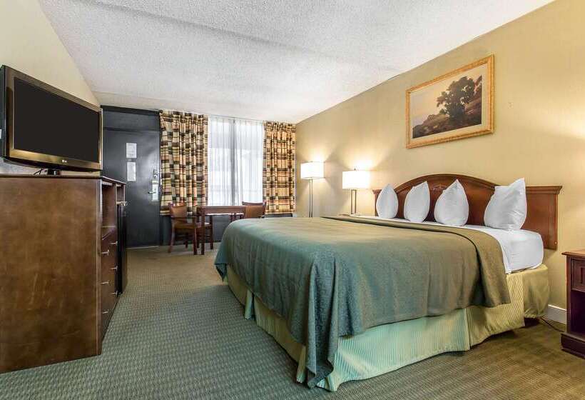 فندق على الطريق Rodeway Inn