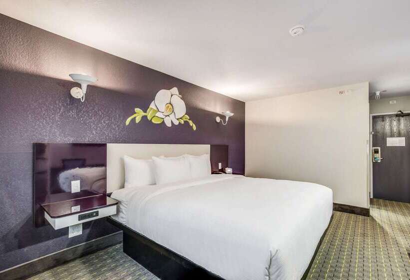 モーテル Clarion Pointe Tallahassee State Capitol