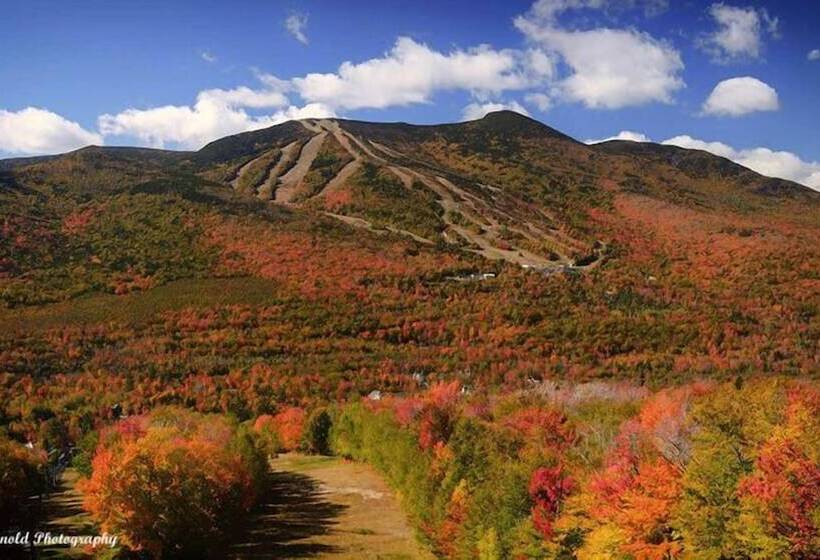 منتجع Snowy Owl Inn