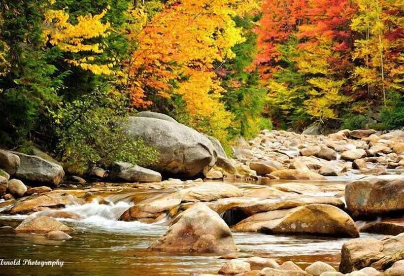 منتجع Snowy Owl Inn