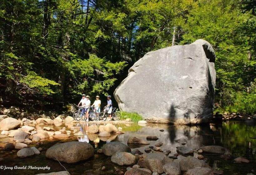 منتجع Snowy Owl Inn