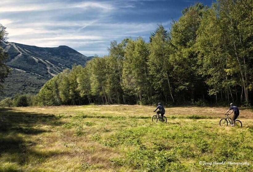 منتجع Snowy Owl Inn