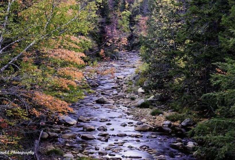 منتجع Snowy Owl Inn