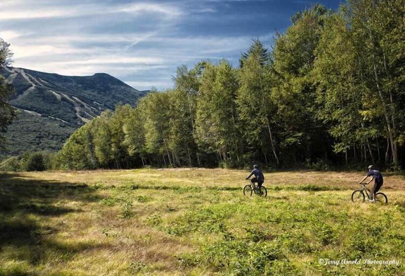 منتجع Snowy Owl Inn