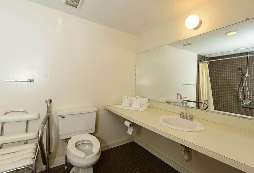 منتجع Snowy Owl Inn