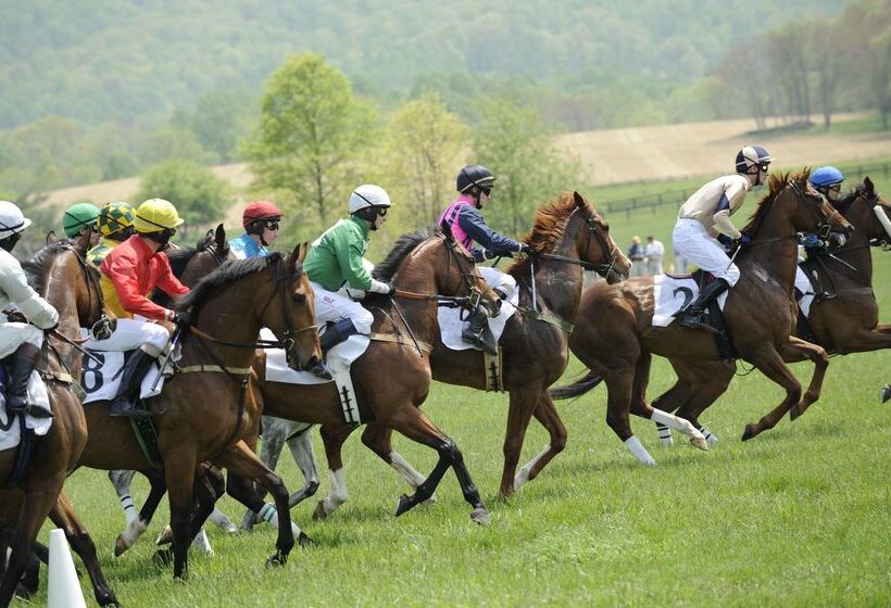 Salamander Resort And Spa