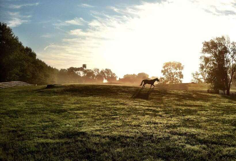 Salamander Resort And Spa