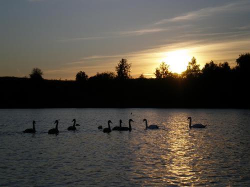 Villa Alicante & Spa