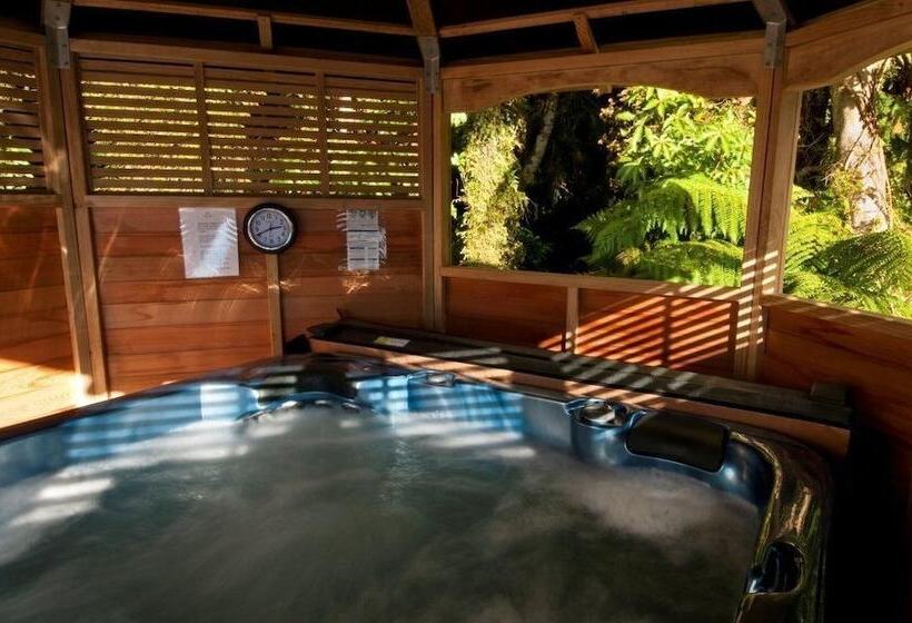 Bella Vista Motel Fox Glacier