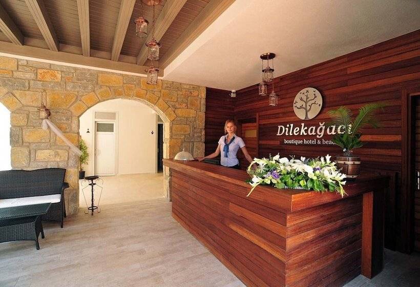 Dilekagaci Boutique Hotel And Beach