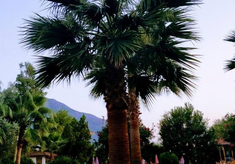 Gorkem Hotel & Apartments