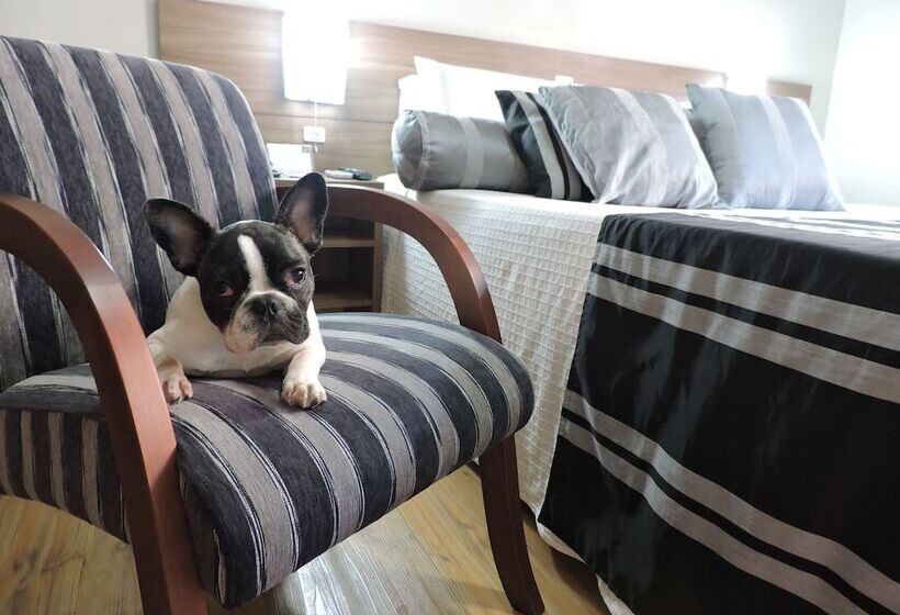 호텔 Açores Premium  5 Minutos Do Moinhos De Vento