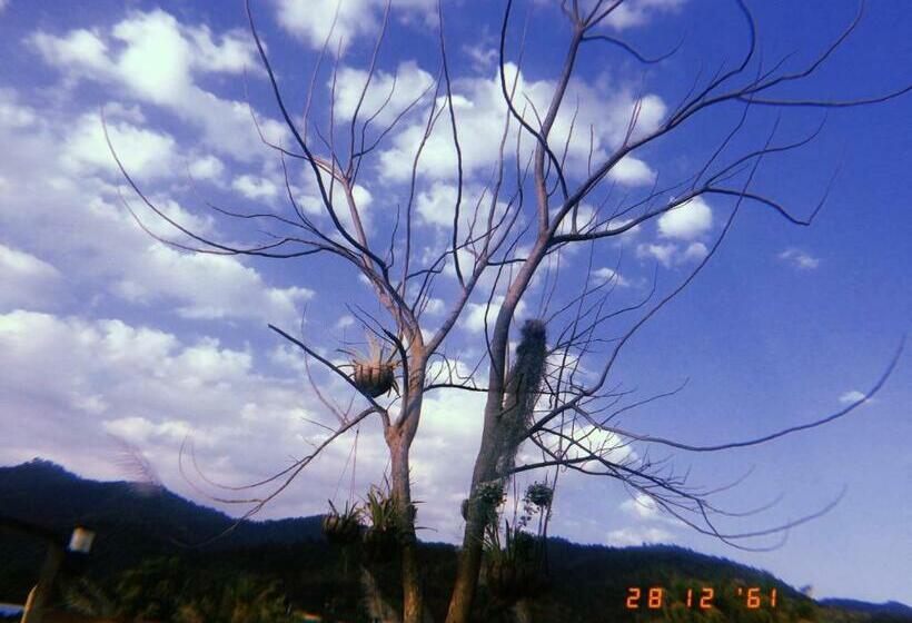 فندق Areeya Phuree Resort