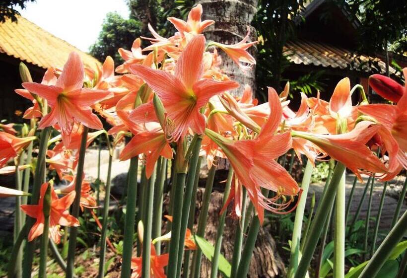 فندق Areeya Phuree Resort