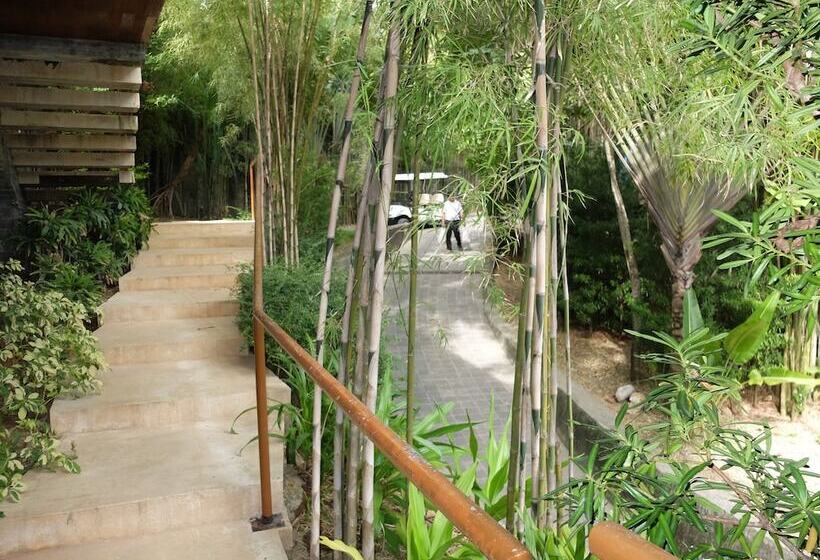 هتل Asya Premier Suites