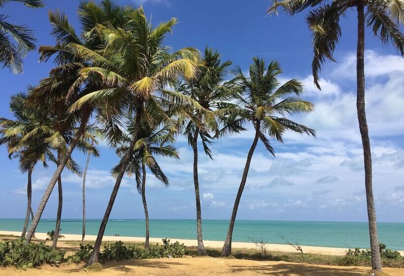 בית מלון כפרי Bessa Beach