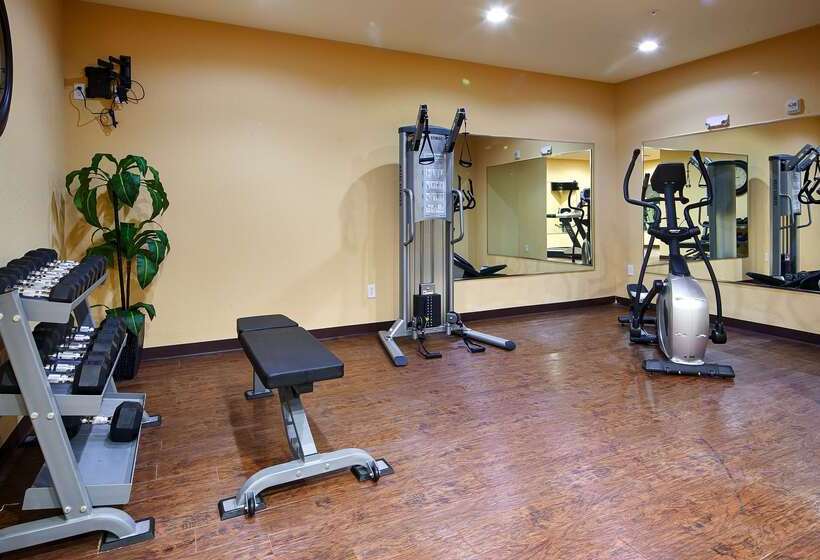 酒店 Best Western Plus Fort Worth Forest Hill Inn & Suites