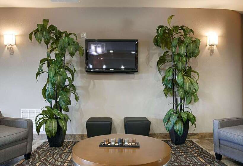 酒店 Best Western Plus Fort Worth Forest Hill Inn & Suites