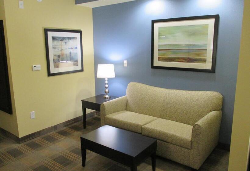 酒店 Best Western Plus Fort Worth Forest Hill Inn & Suites