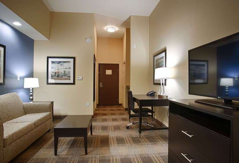 酒店 Best Western Plus Fort Worth Forest Hill Inn & Suites