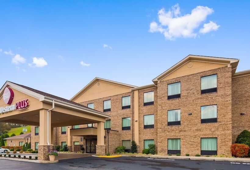 酒店 Best Western Plus Louisa