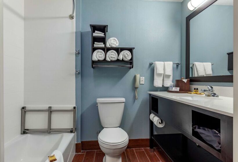 酒店 Best Western Plus North Odessa Inn & Suites