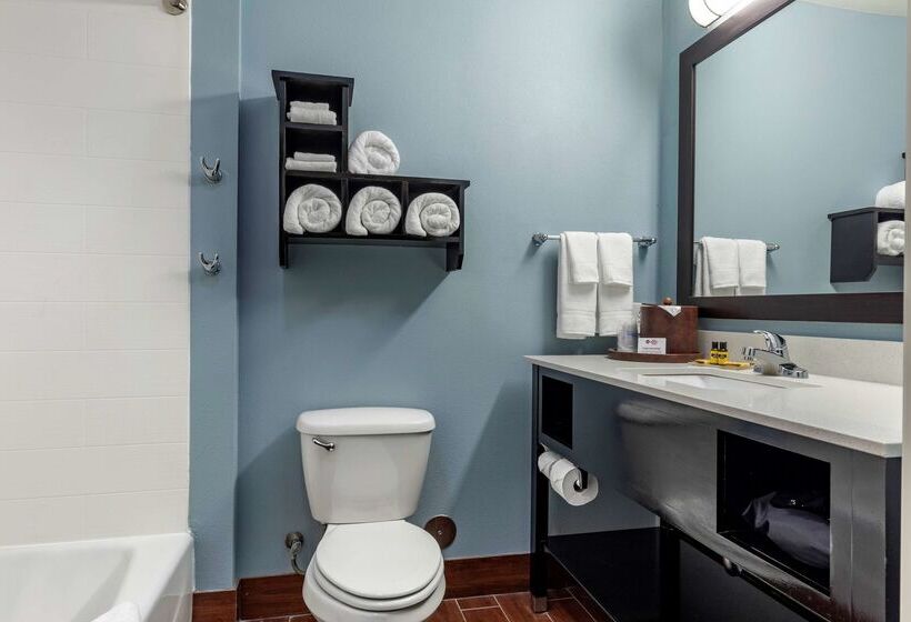 酒店 Best Western Plus North Odessa Inn & Suites