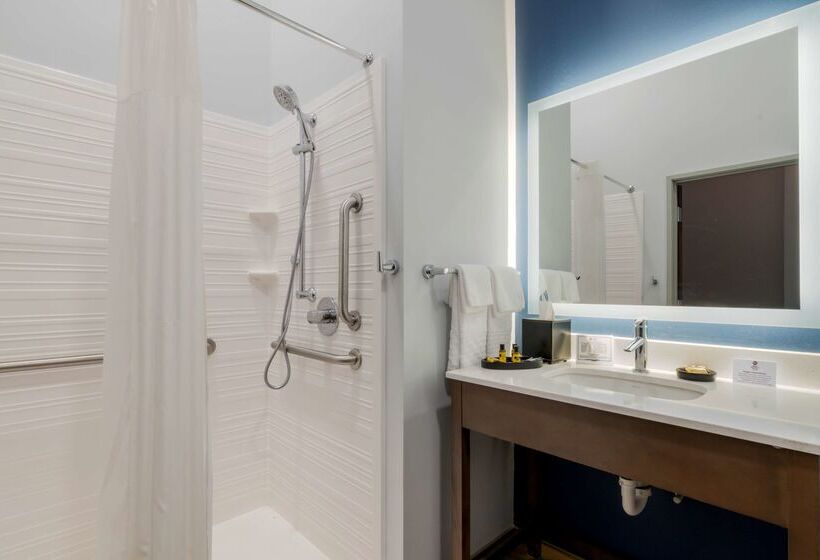 酒店 Best Western Plus St. Louis Airport