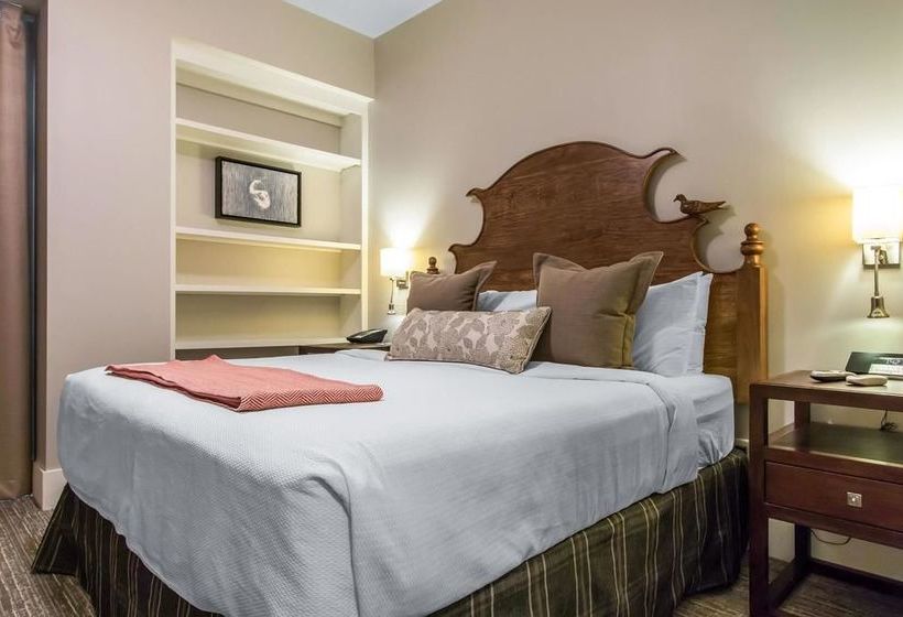 בית מלון כפרי Bluegreen Vacations Studio Homes At Ellis Square Ascend Resort