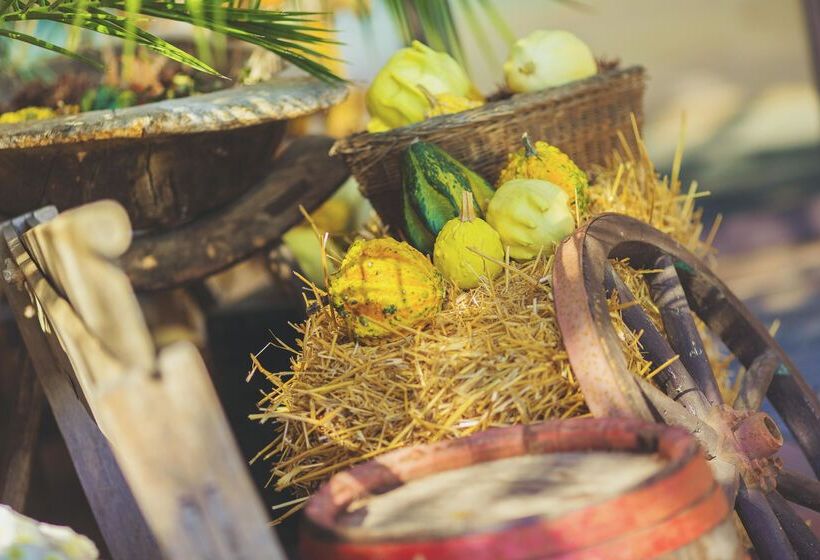 هتل Caramell Premium Resort Superior