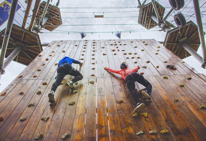 هتل Caramell Premium Resort Superior