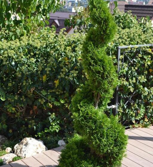 ホテル Casa Cranta