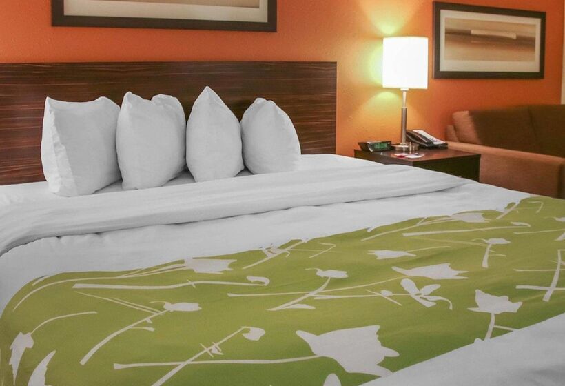 ホテル Econo Lodge