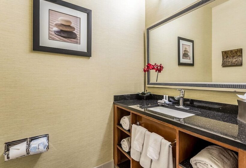 فندق Fairfield Inn & Suites By Marriott Alamogordo