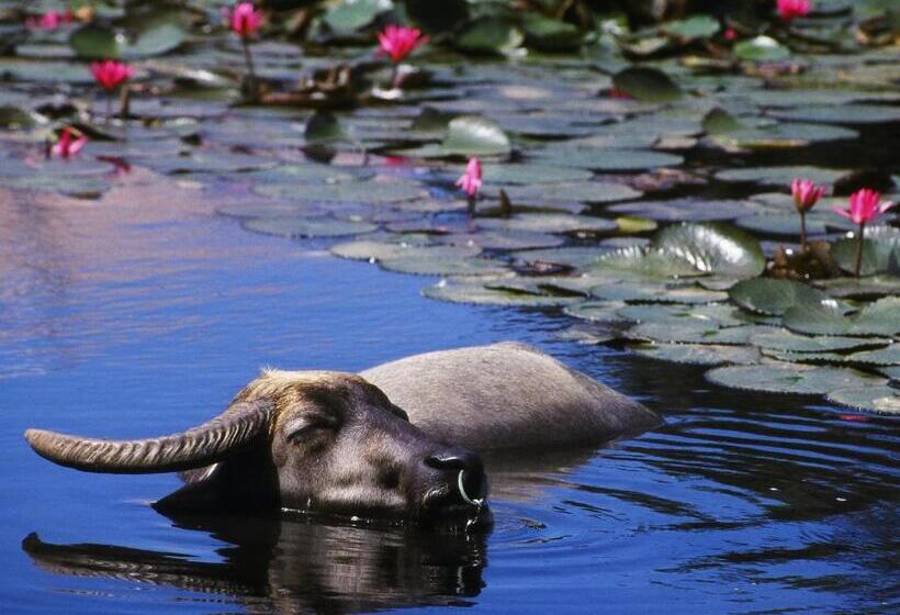 בית מלון כפרי Haimurubushi