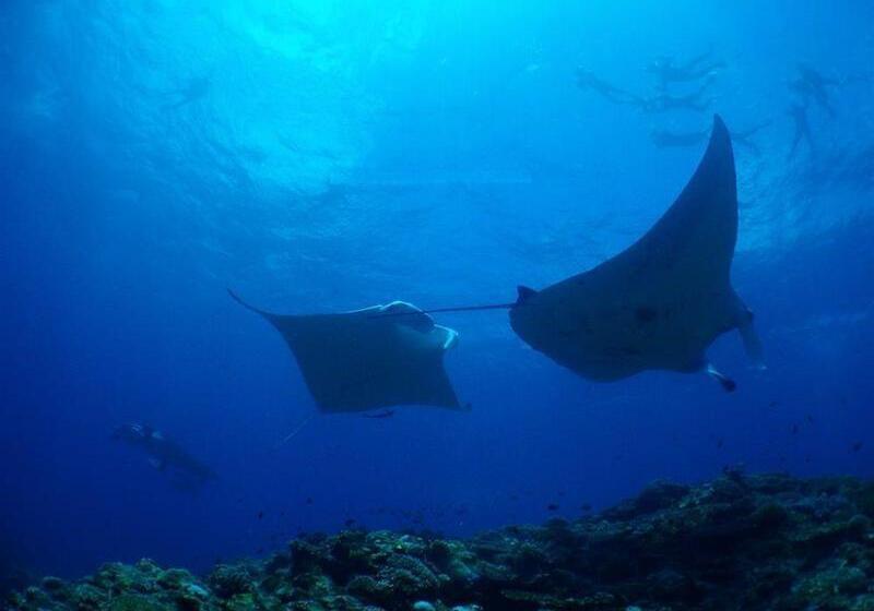 בית מלון כפרי Haimurubushi