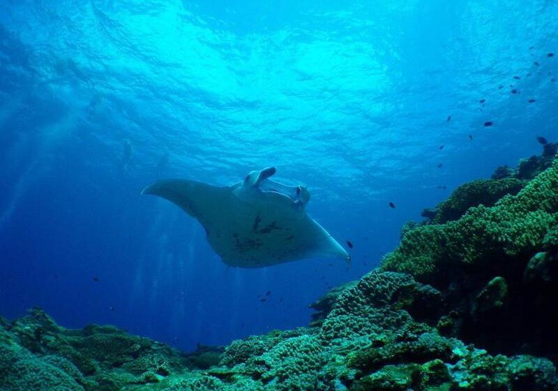 בית מלון כפרי Haimurubushi