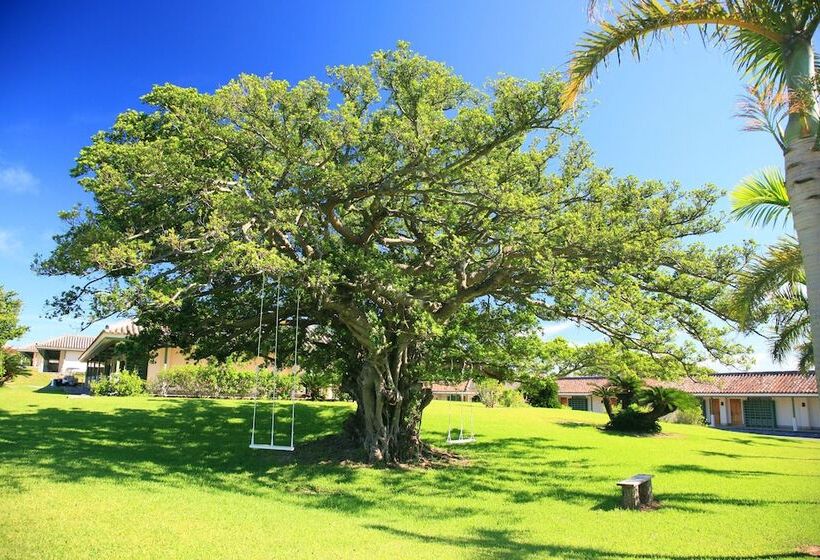 בית מלון כפרי Haimurubushi