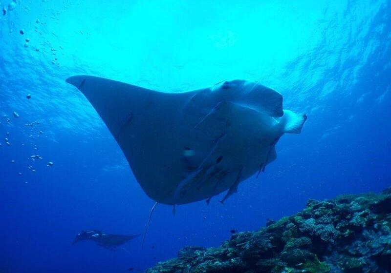 בית מלון כפרי Haimurubushi