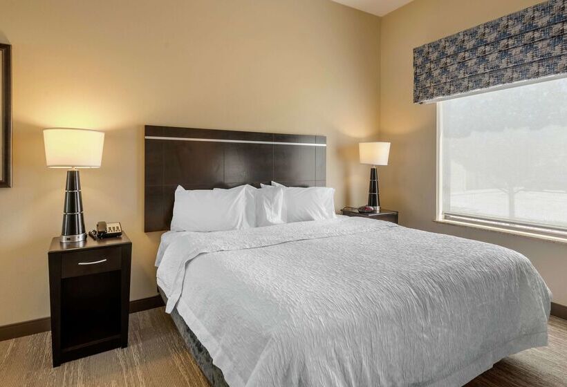 فندق Hampton Inn Alamosa, Co