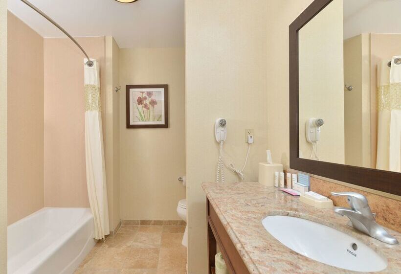 فندق Hampton Inn Muscatine