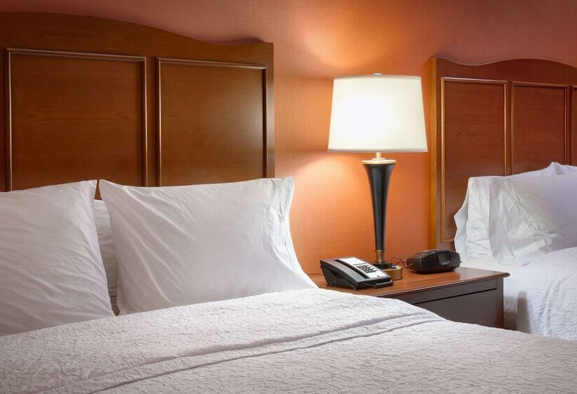 ホテル Hampton Inn Omaha/west Dodge Road