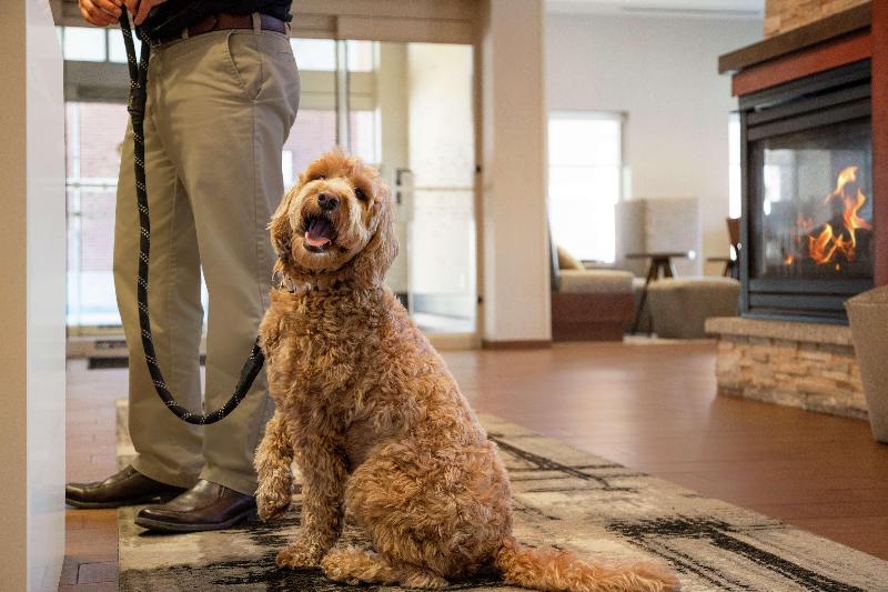 בית מלון כפרי Hampton Inn Portland Downtownwaterfront