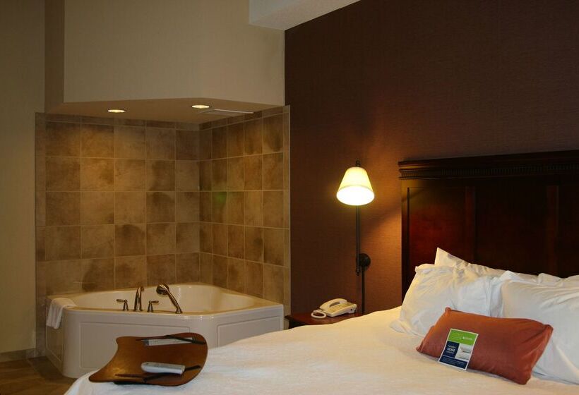 فندق Hampton Inn & Suites Brookings