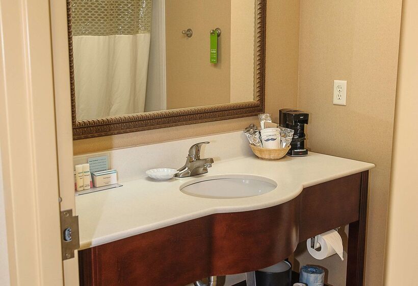 فندق Hampton Inn & Suites Brookings