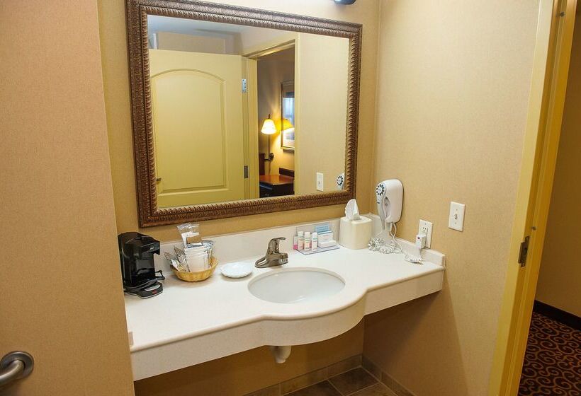 فندق Hampton Inn & Suites Brookings